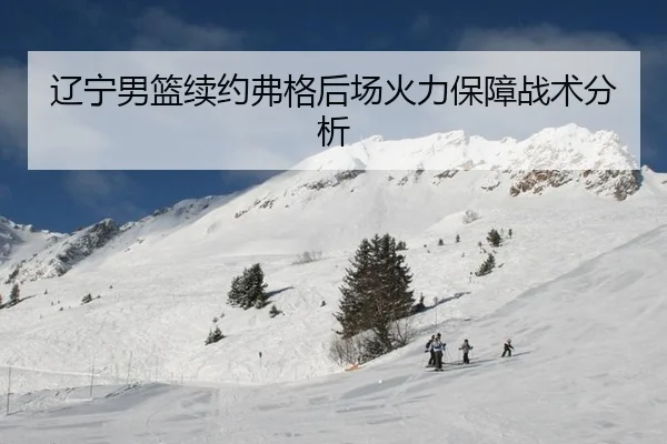 liao-ning-nan-lan-xu-yue-fu-ge-hou-chang-huo-li-bao-zhang-zhan-shu-fen-xi-2-164.jpg