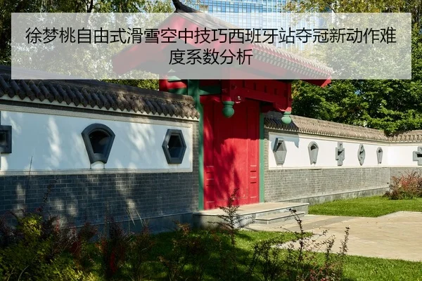 xu-meng-tao-zi-you-shi-hua-xue-kong-zhong-ji-qiao-xi-ban-ya-zhan-duo-guan-xin-dong-zuo-nan-du-xi-shu-fen-xi-2-313.jpg